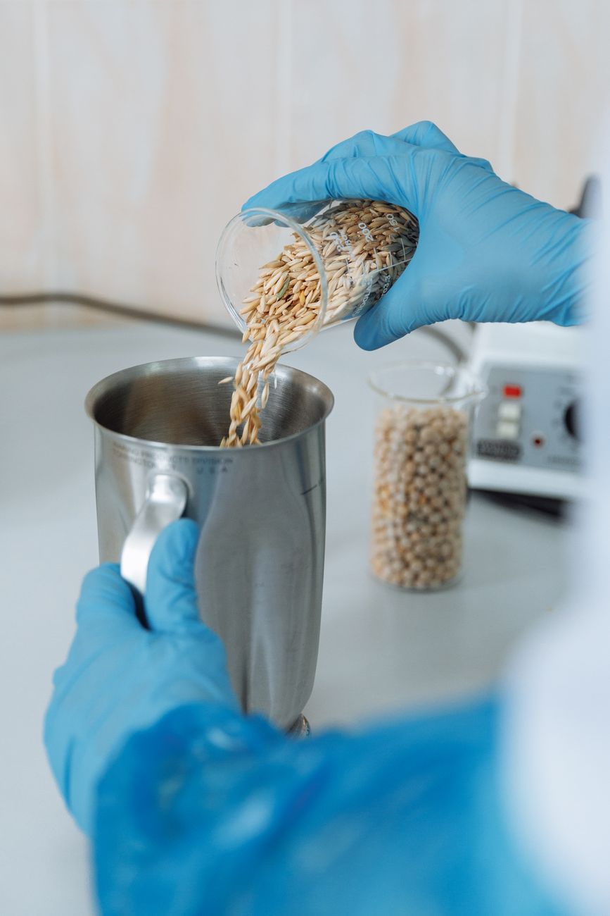 Laboratory testing of food industry raw materials (illustration)