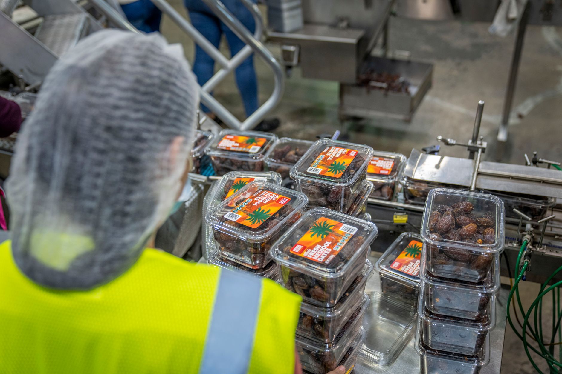 Packaging workflow in a modern food processing plant (illustration)